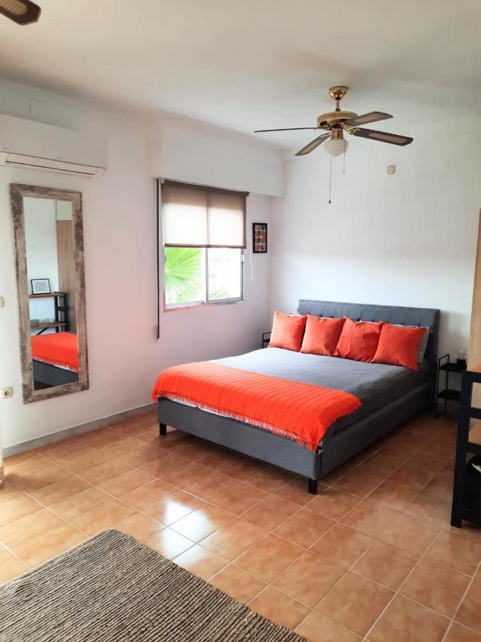 Casa Palma Vista Διαμέρισμα Τορεβιέχα Εξωτερικό φωτογραφία